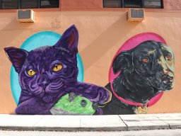 Focus Murals